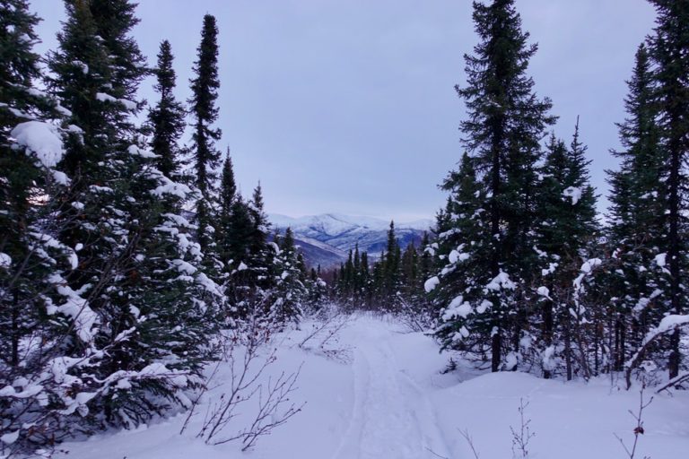 How To Have An Incredible Winter in Alaska Adventure