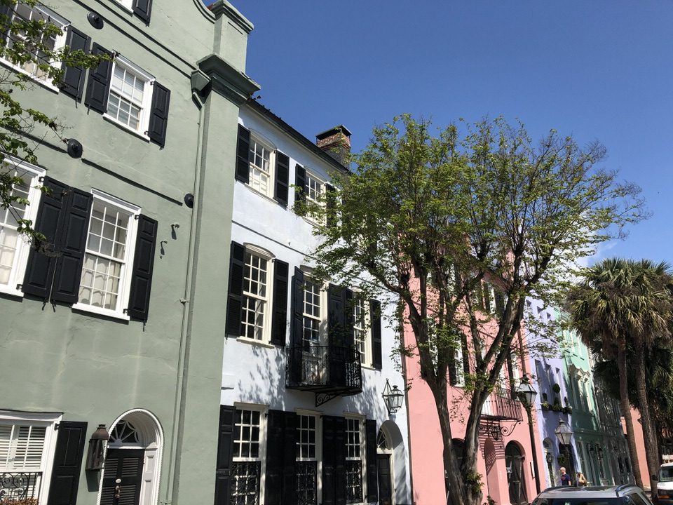 horse tour things to do in charleston