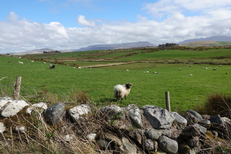 Best Things To Do in Louisburgh, Ireland