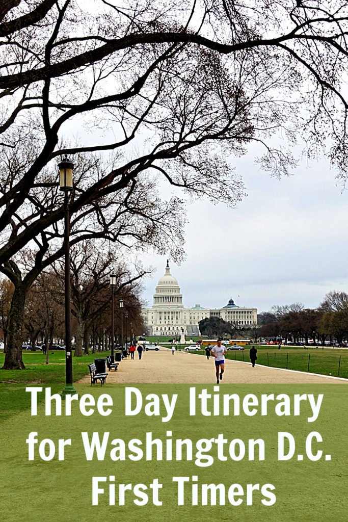 View of the US Capitol building from the mall. Text reads "Three Day Itinerary for Washington DC First Timers."