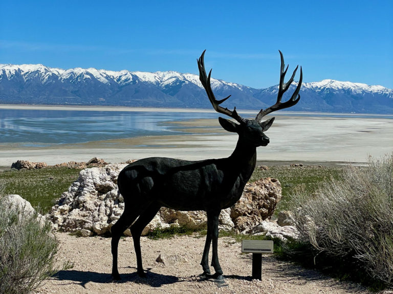 What To Do at Utah’s Antelope Island State Park