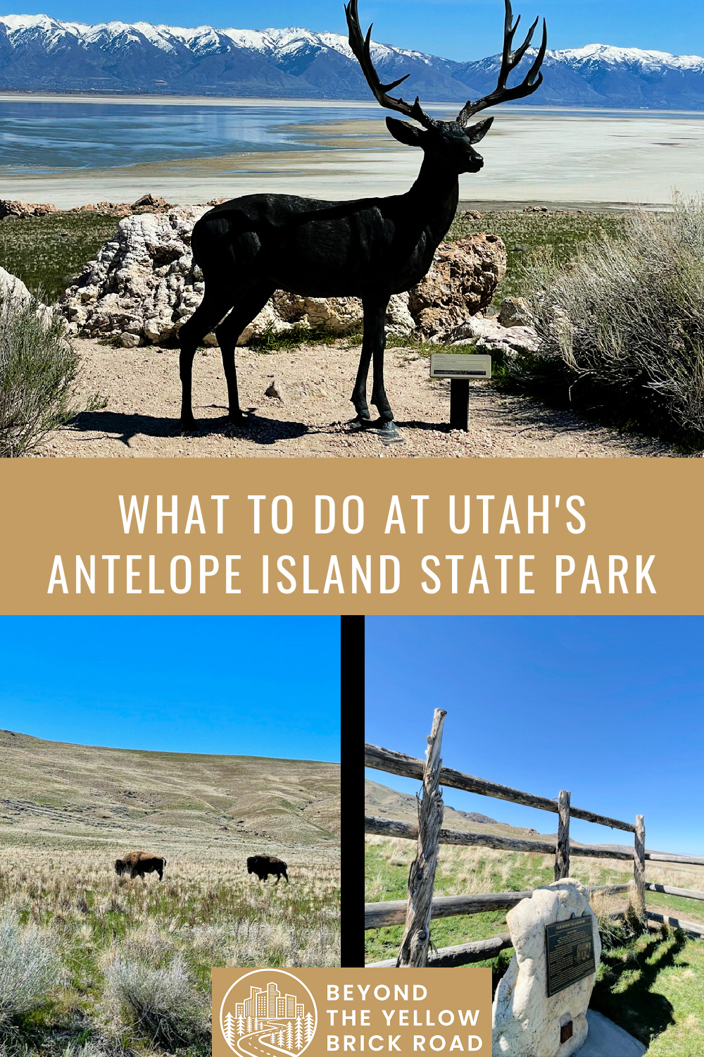 what-to-do-at-antelope-island-state-park-in-utah-s-great-salt-lake