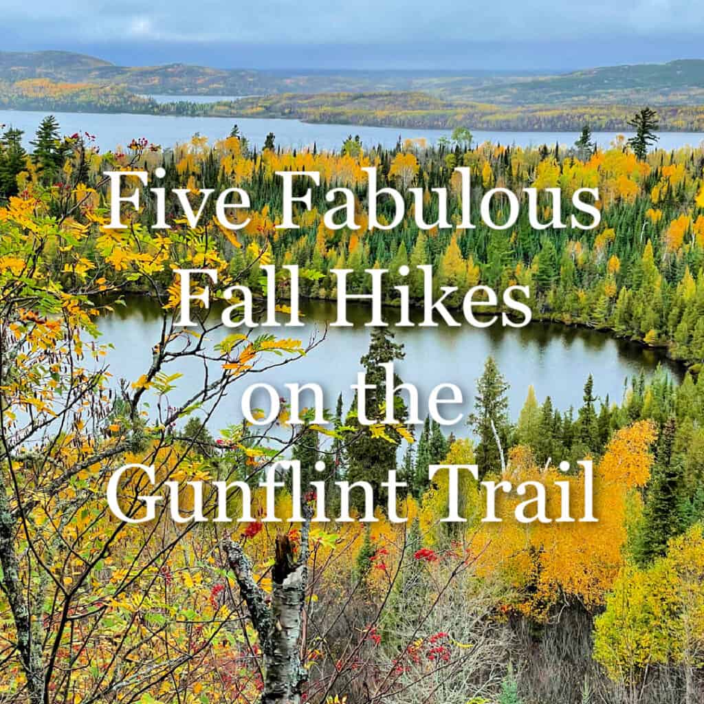 Orange and yellow fall foliage looking across the Gunflint Trail forest and lakes. Text overlay reads "Five Fabulous Fall Hikes on the Gunflint Trail."