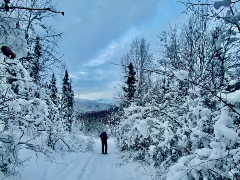 Chena Hot Springs Resort: Everything You Need To Know For An Amazing Winter Visit