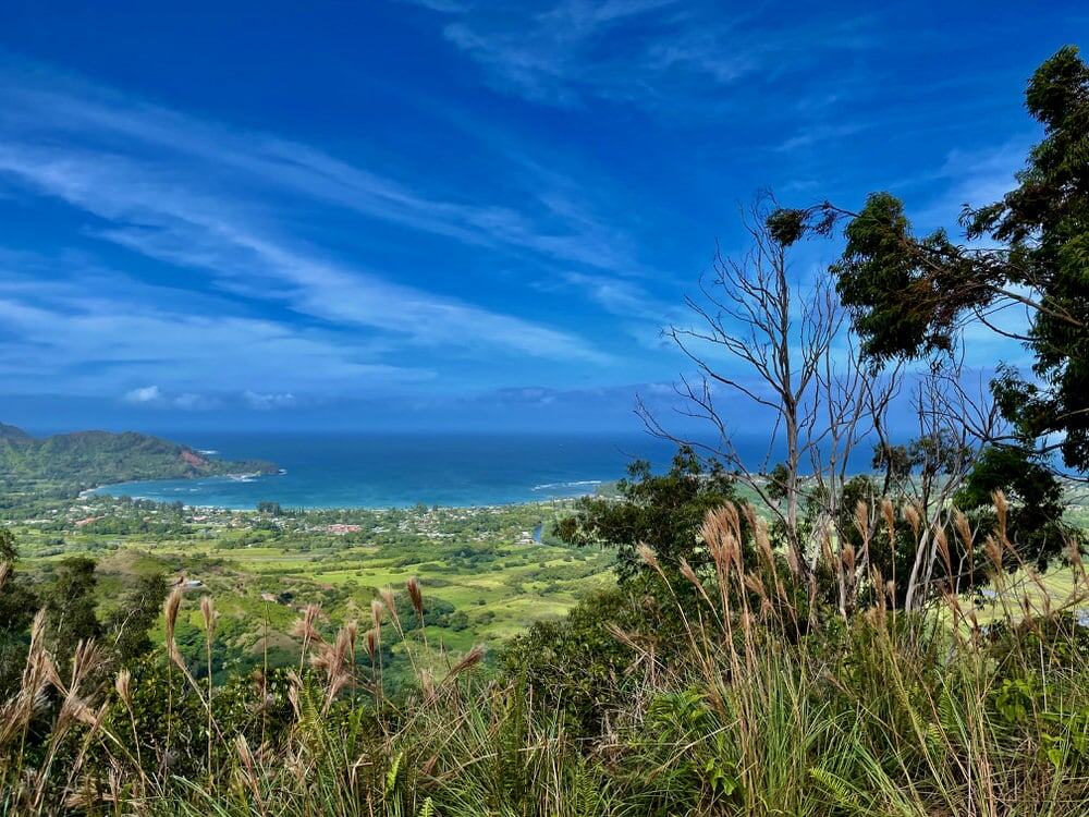 Overlook of Hanalei Bay and farm fields on Kauai Island