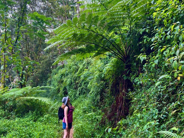 5 Days on Kauai Itinerary: Your Guide to Kauai’s Best Things To Do