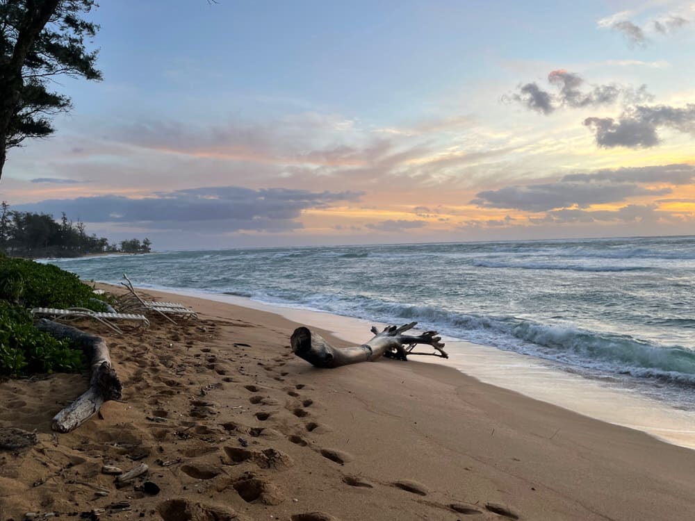 A sandy beach with a large piece of driftwood at sunrise