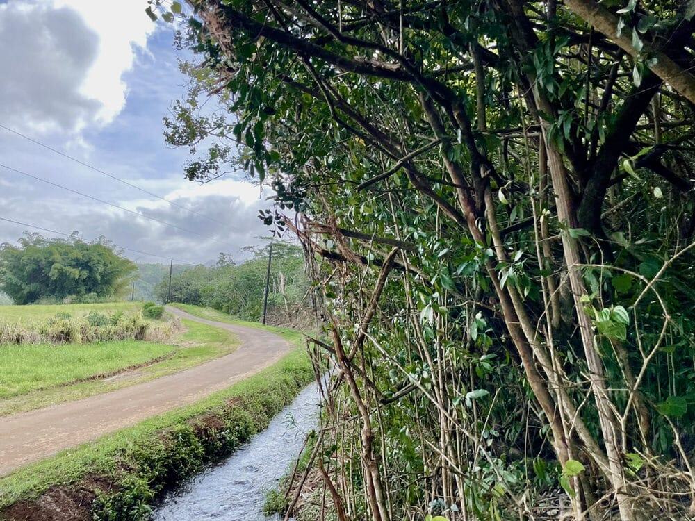 A dirt road runs along a canal in Kauai