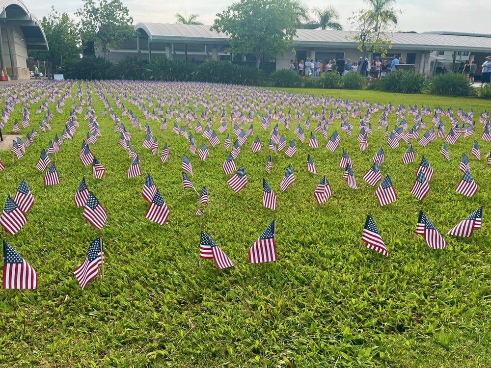 A field of mini American flags