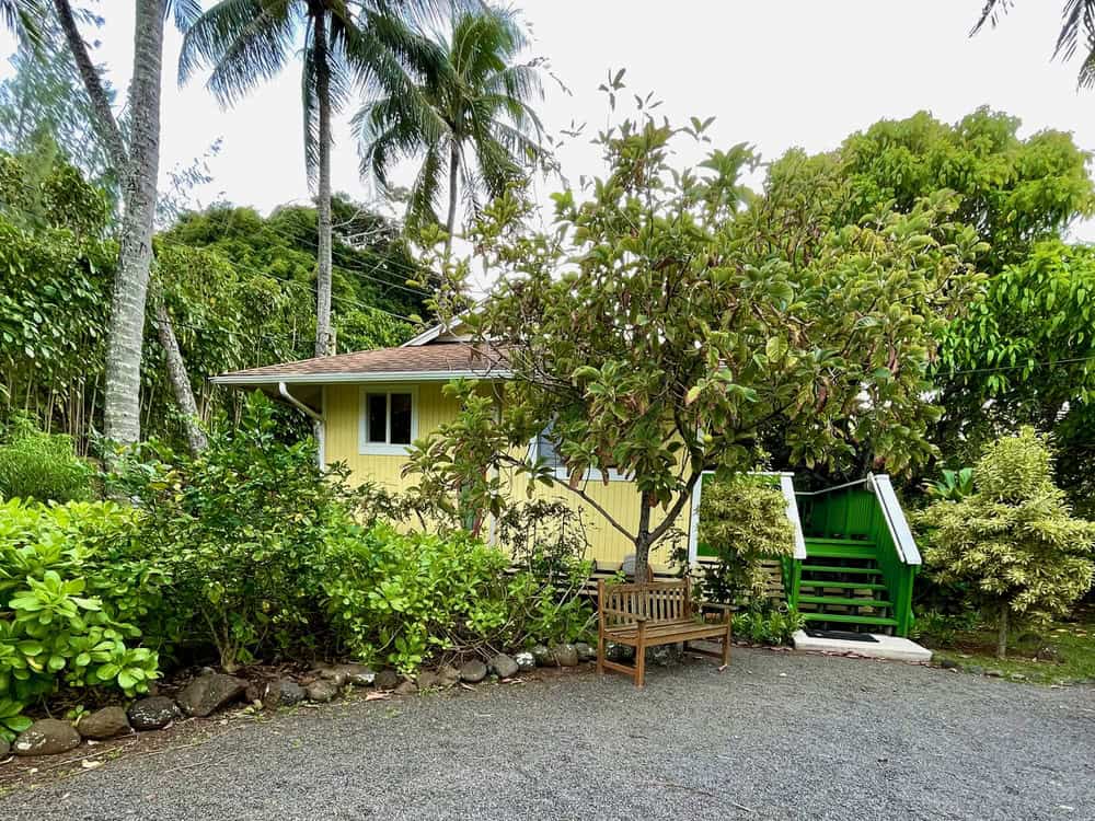 Small yellow cottage tucked into tropical forest