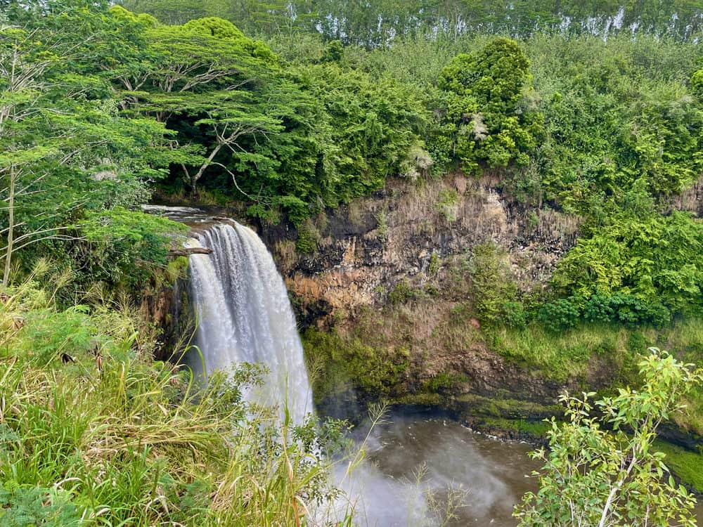 Waterfall drops into a basin surrounded by tropical forest