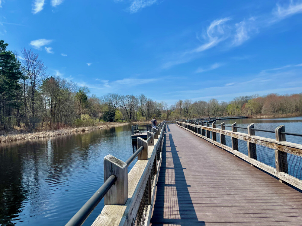 10 Fun Things To Do in Grand Rapids, MI This Weekend