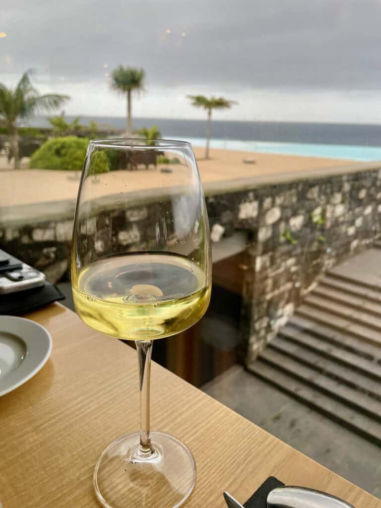 Glass of wine in front of a palm tree and Atlantic Ocean