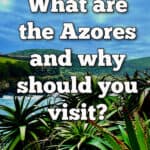 Large succulent in front of the Atlantic Ocean. Text overlay reads "What are the Azores and why should you visit?"