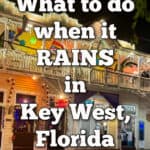 A brightly lit two story Duval Street shop after dark on a rainy night. Text reads "What to do when it rains in Key West, Florida."