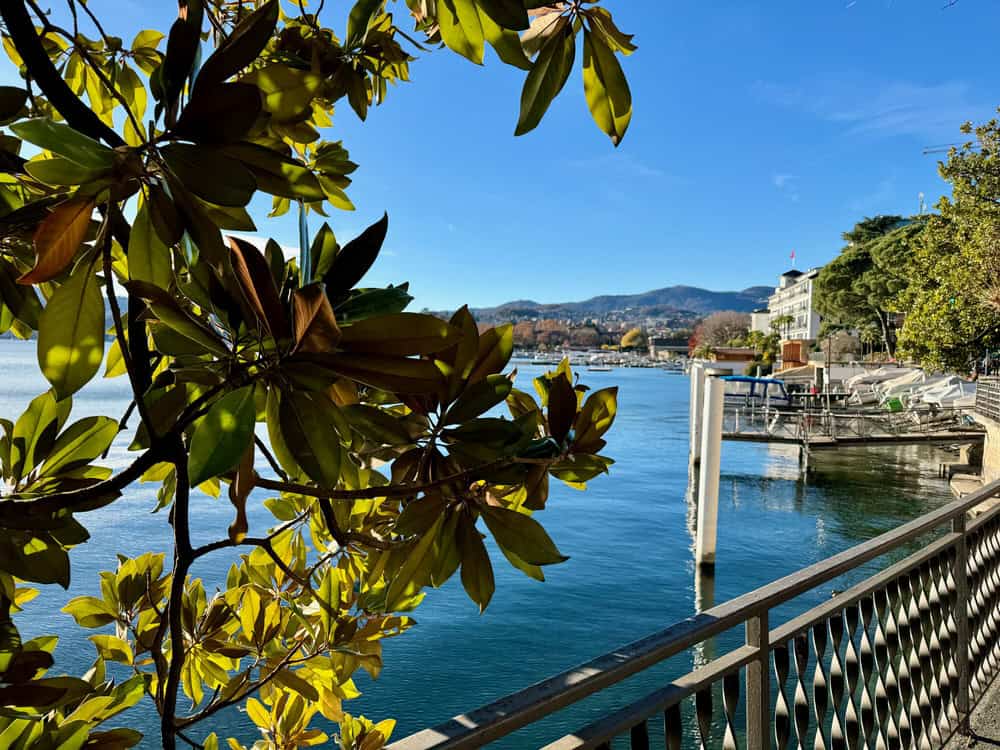 Foliage frames placid Lake Lugano on the eastern edge of Lugano Switzerland
