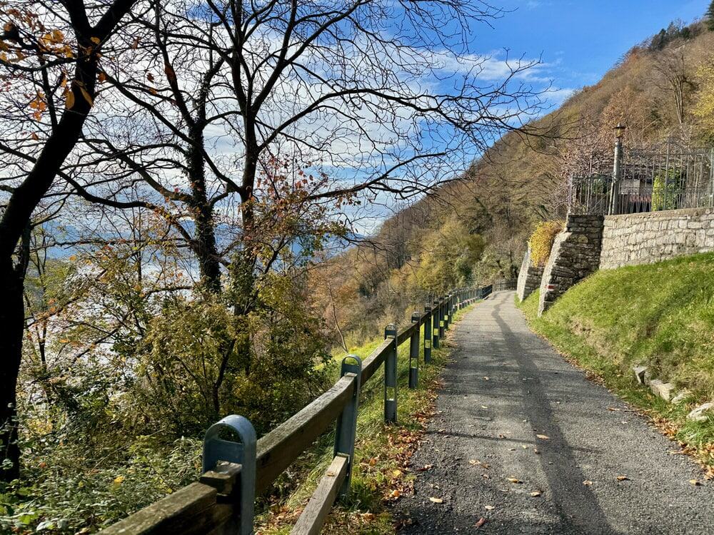 Paved path down a Swiss hill side