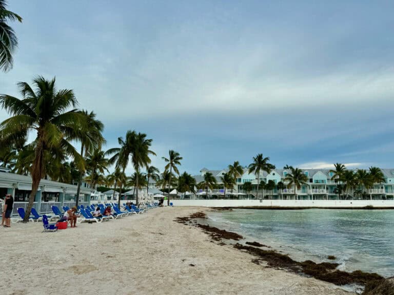 Sandy beach with sea weed, beach chairs, and palm trees in front of a large resort in Key West, Florida
