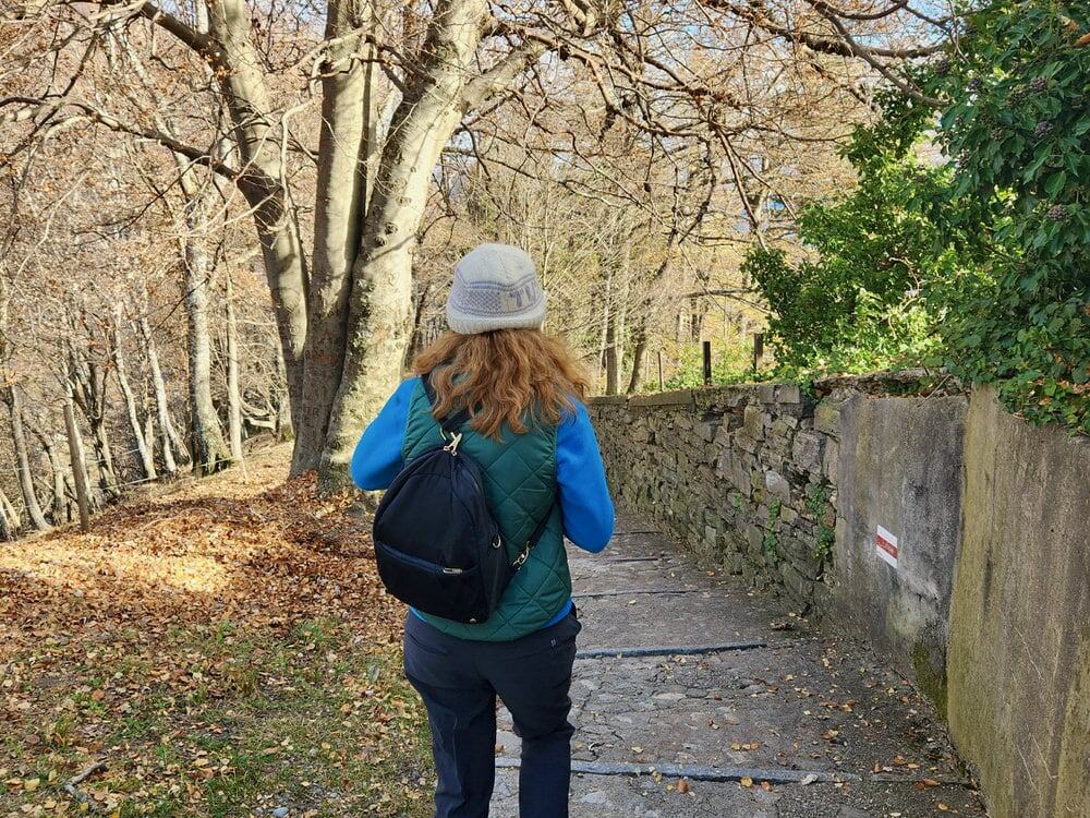 Woman walking away from the camera down a stone path through an autumn forest on a sunny day.