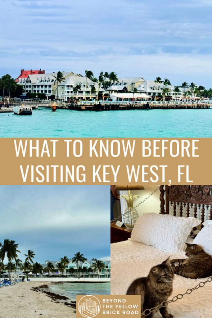 Photo collage of scenes from Key West, Florida including cats on a bed at Hemingway Home, a marina view, and a beach. Text reads "what to know before visiting Key West, FL"