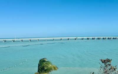 Best Stops On A Florida Keys Road Trip from Miami to Key West