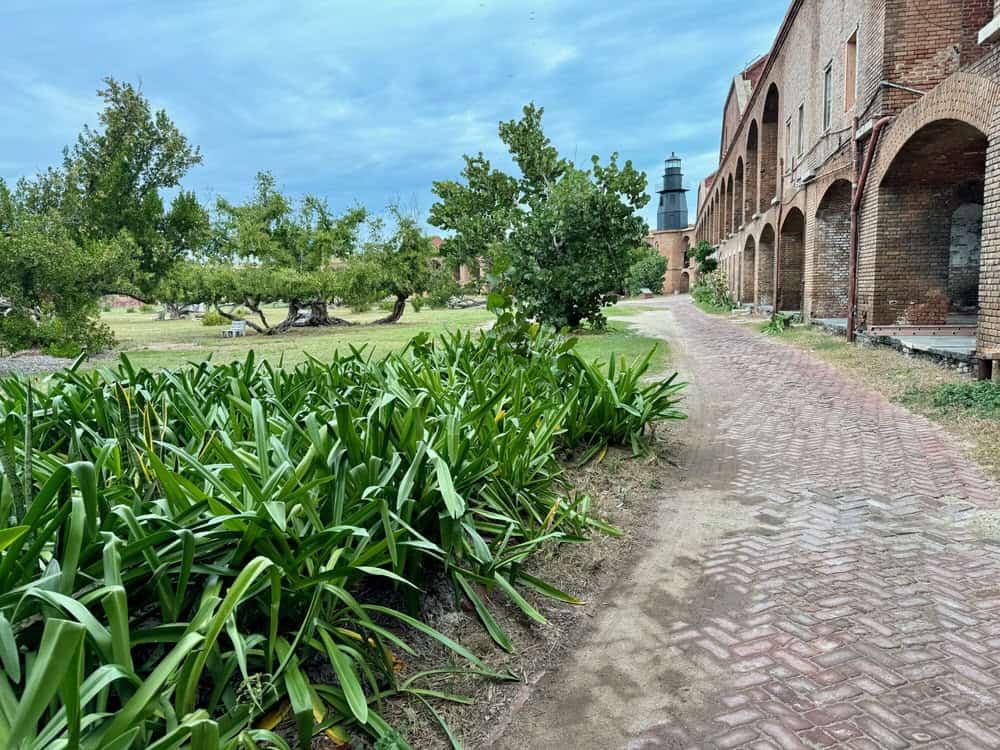 Vegetation growing along a brick path inside Fort Jefferson in Dry Tortugas National Park