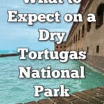 View of Fort Jefferson and moat in the Gulf of Mexico at Dry Tortugas National Park. Text overlay reads "What To Expect on a Dry Tortugas National Park Day Trip"