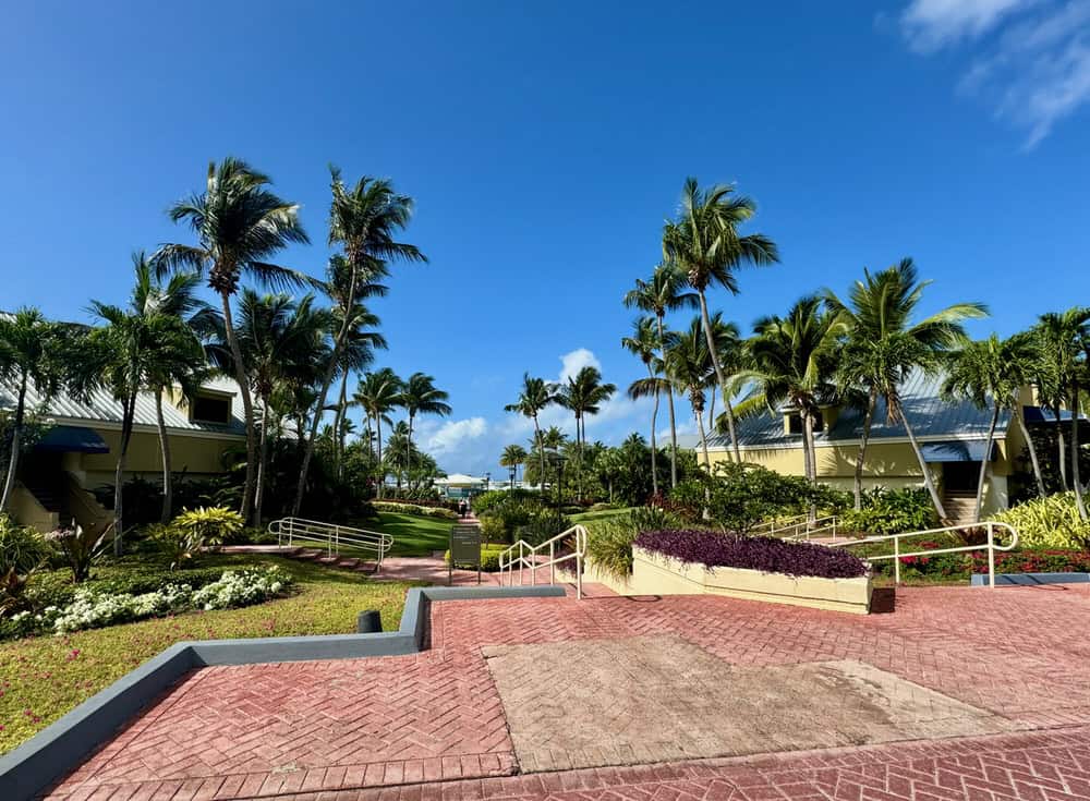 Palm trees and large patio at a Caribbean resort