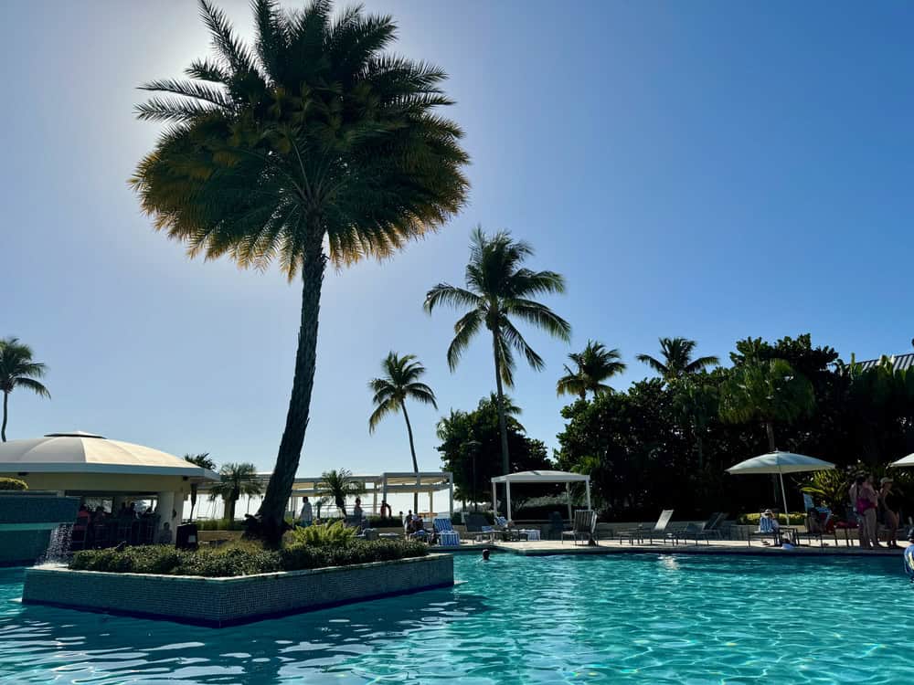 Palm tree lined pool in the Caribbean on the U.S. Virgin Islands