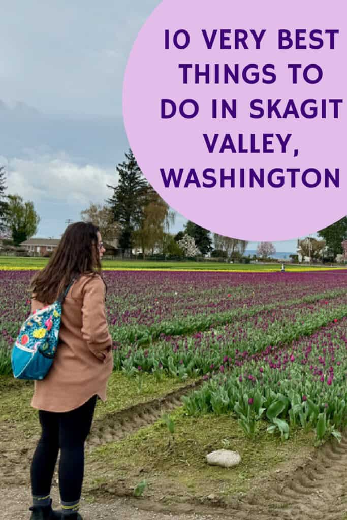 Woman gazes across rows of unopened tulip blooms in Skagit Valley WA