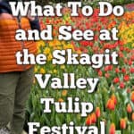 Woman stands next to a tulip garden. Text reads "What to do and see at the Skagit Valley Tulip Festival."