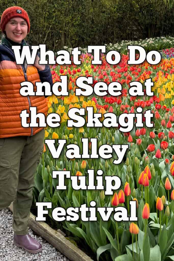 Woman stands next to a tulip garden. Text reads "What to do and see at the Skagit Valley Tulip Festival."