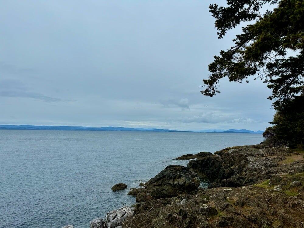 Ocean view from a rocky, wooded shoreline looking across the Salish Sea towards Vancouver Island.