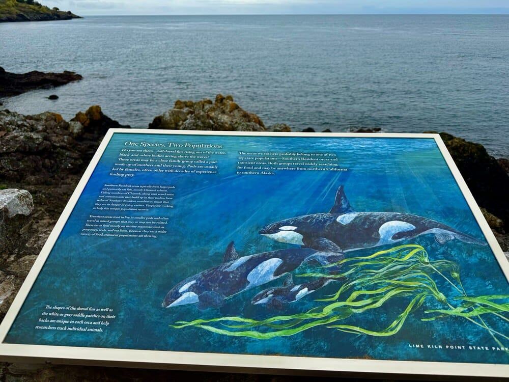 Wildlife viewing sign for orca whales in San Juan Island's Lime Kiln Point State Park