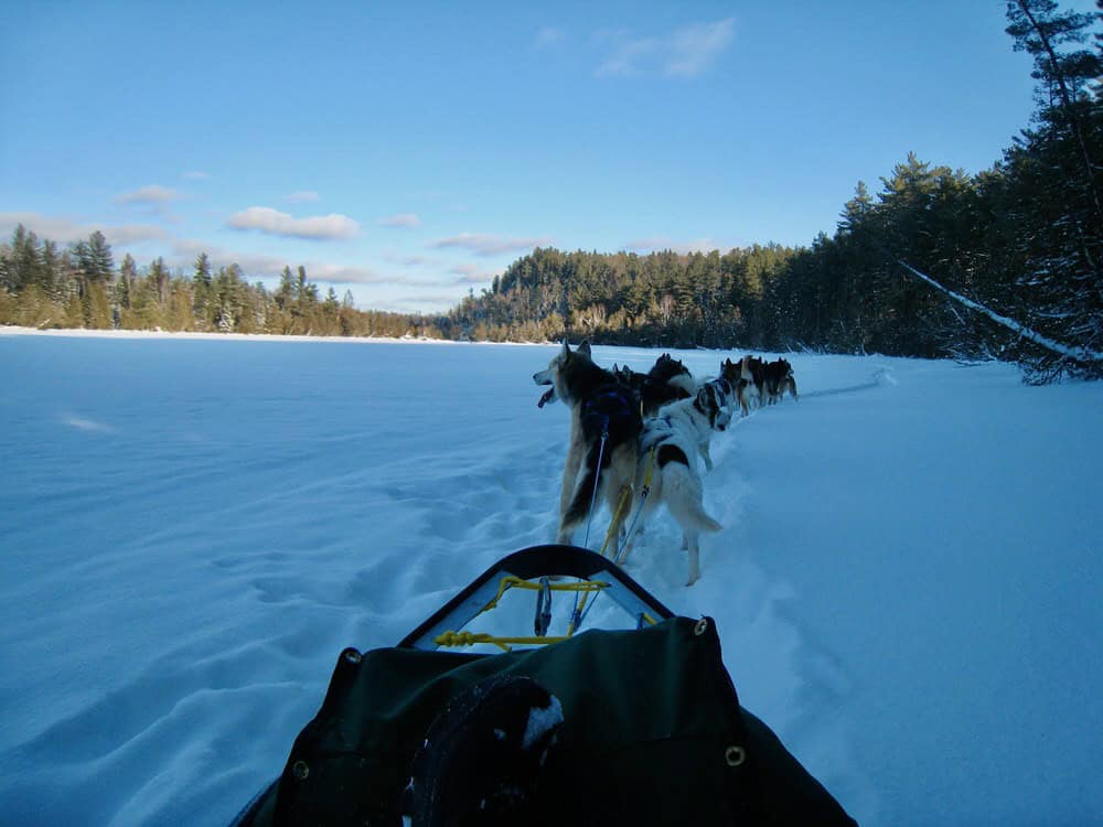 Dog sled team stands in front of a sled on a frozen Boundary Waters lake.