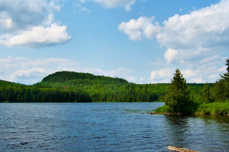 Wilderness lake surrounded by lush green forest with a tall hill rising in the background.
