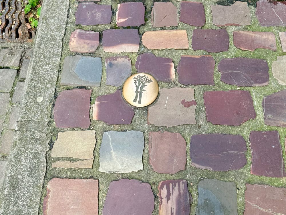 A bronze marker decorated with a tree in the middle of a cobblestone sidewalk.