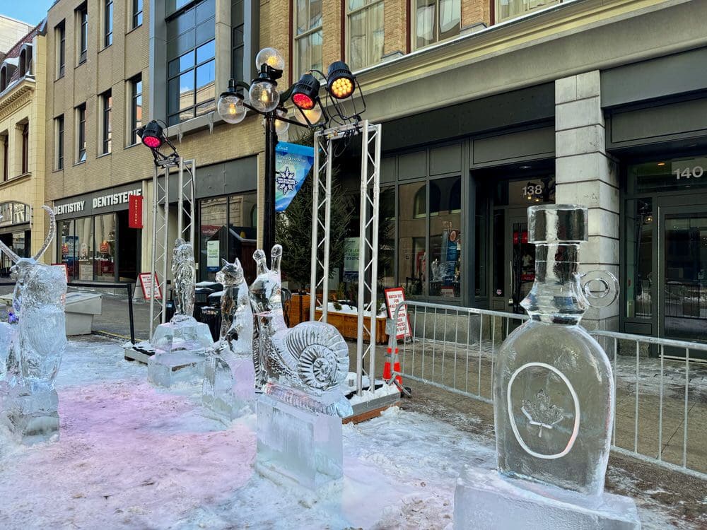 Ice sculptures shaped like snails, maple syrup bottles and more line an Ottawa pedestrian mall.