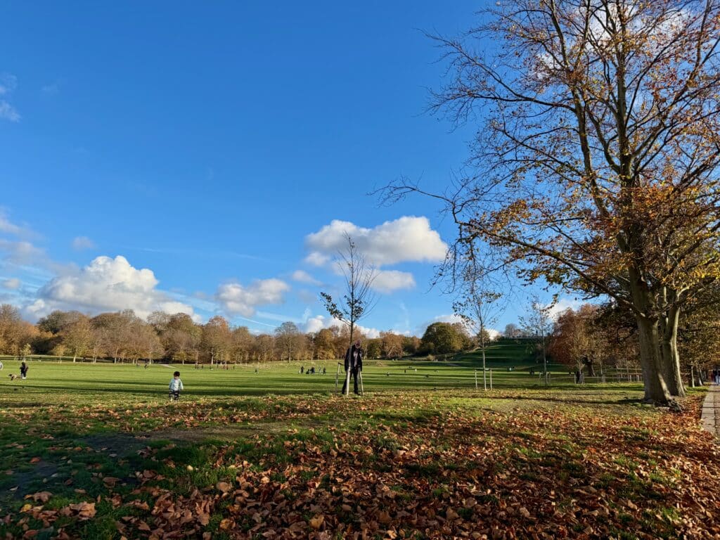 The green lawn of Greenwich Park in autumn on a sunny day with people on the lawn and leaves on the ground.