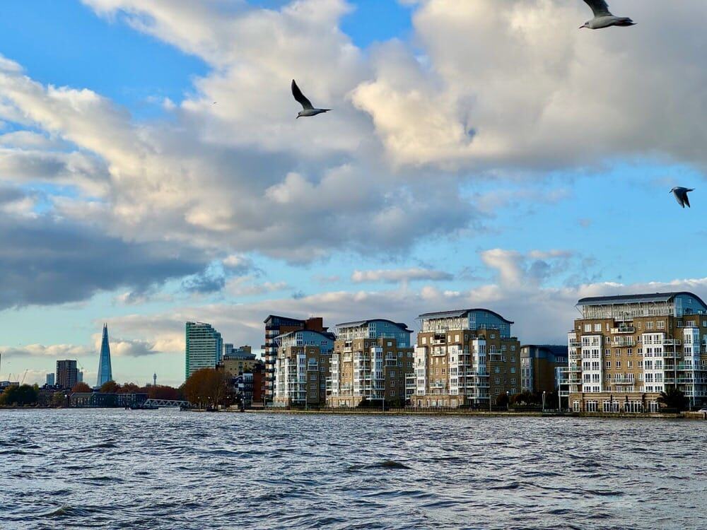 Seagull fly over the Thames River by the Greenwich Docks