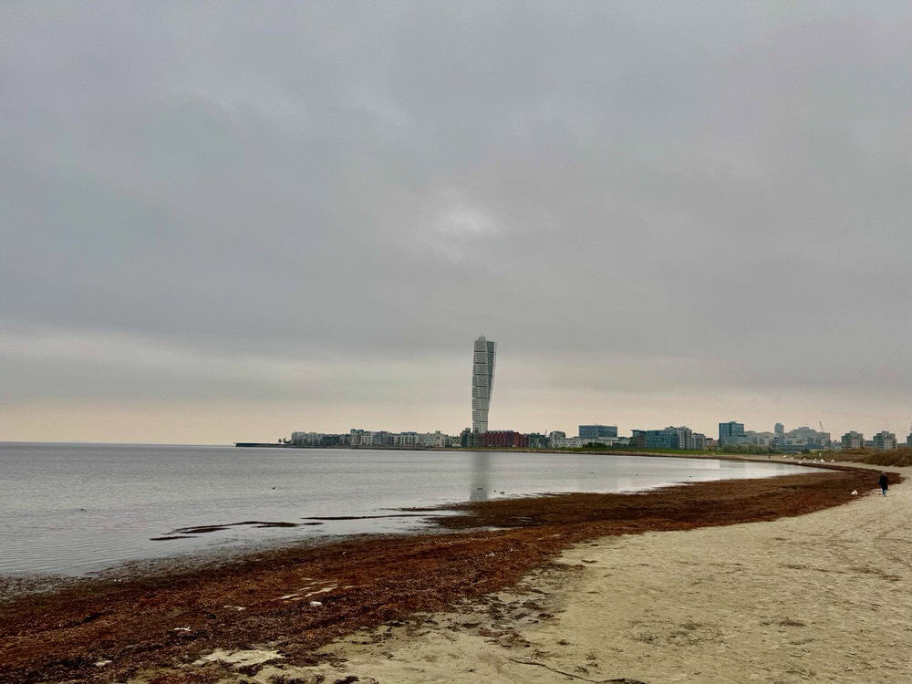 A sandy beach covered with flotsam looking towards Malmo City and Turning Torso skyscraper