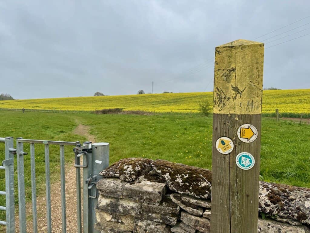 Gate and national trail signage on a post in front of canola fields in the Cotswolds