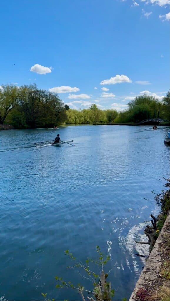 Rowing skulls on the Thames River on a sunny day