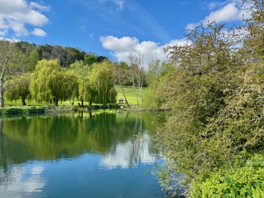 Willows line the Thames River in the Goring Gap on a sunny spring day